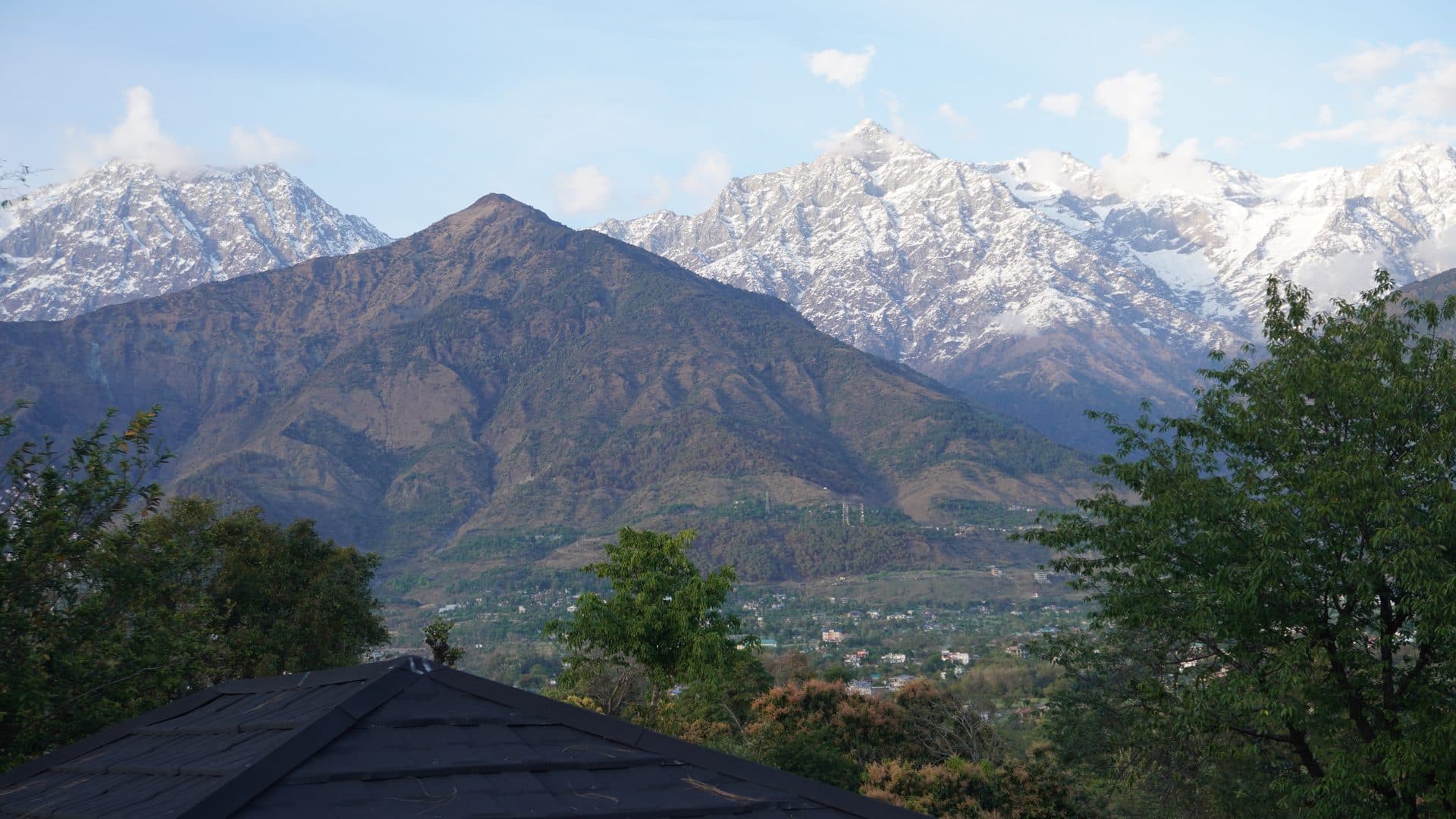 Himveda campus in Dharamshala