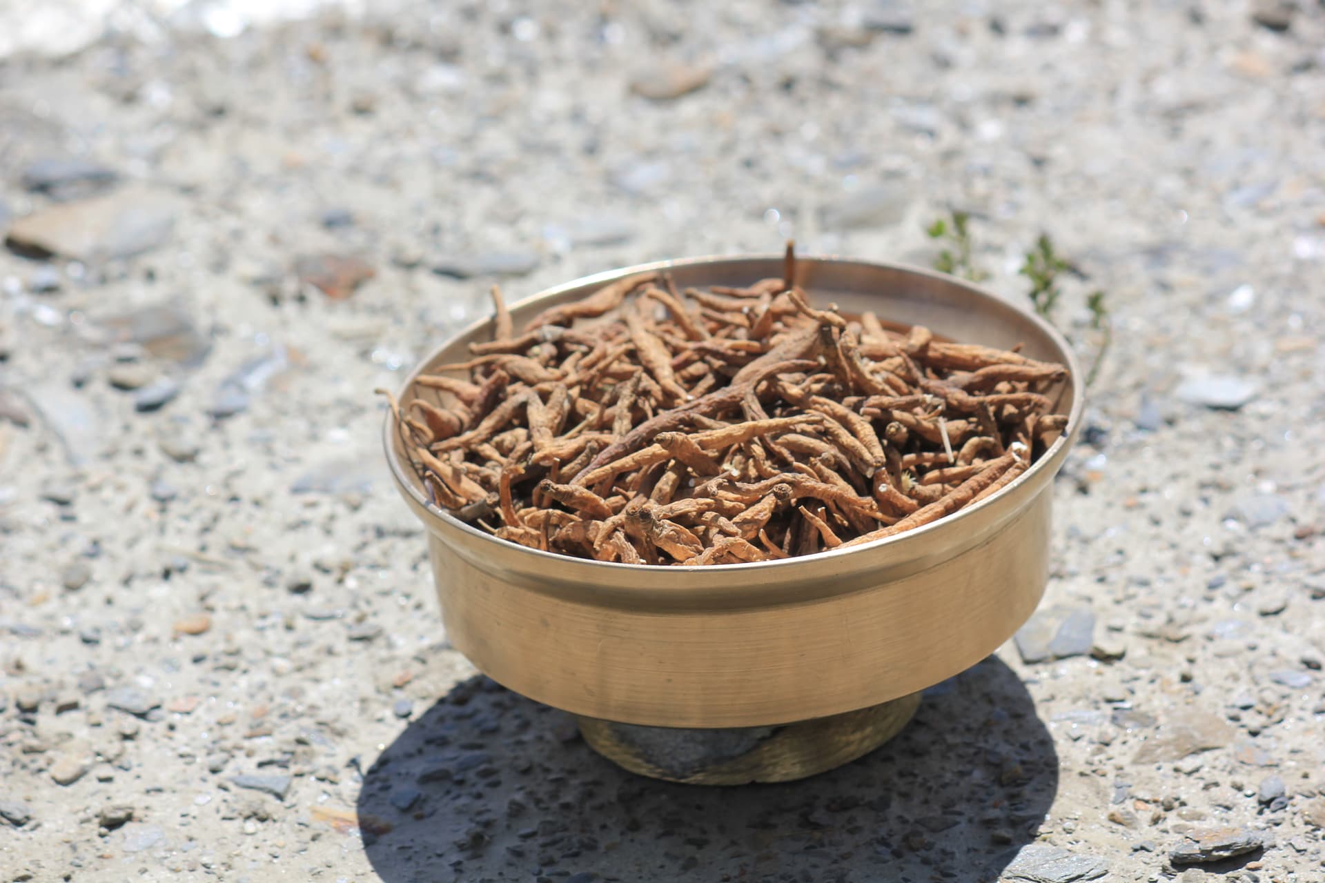 Ayurvedic mortar and pestle with herbs