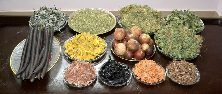 From Himalayan Slopes to Our Medicine