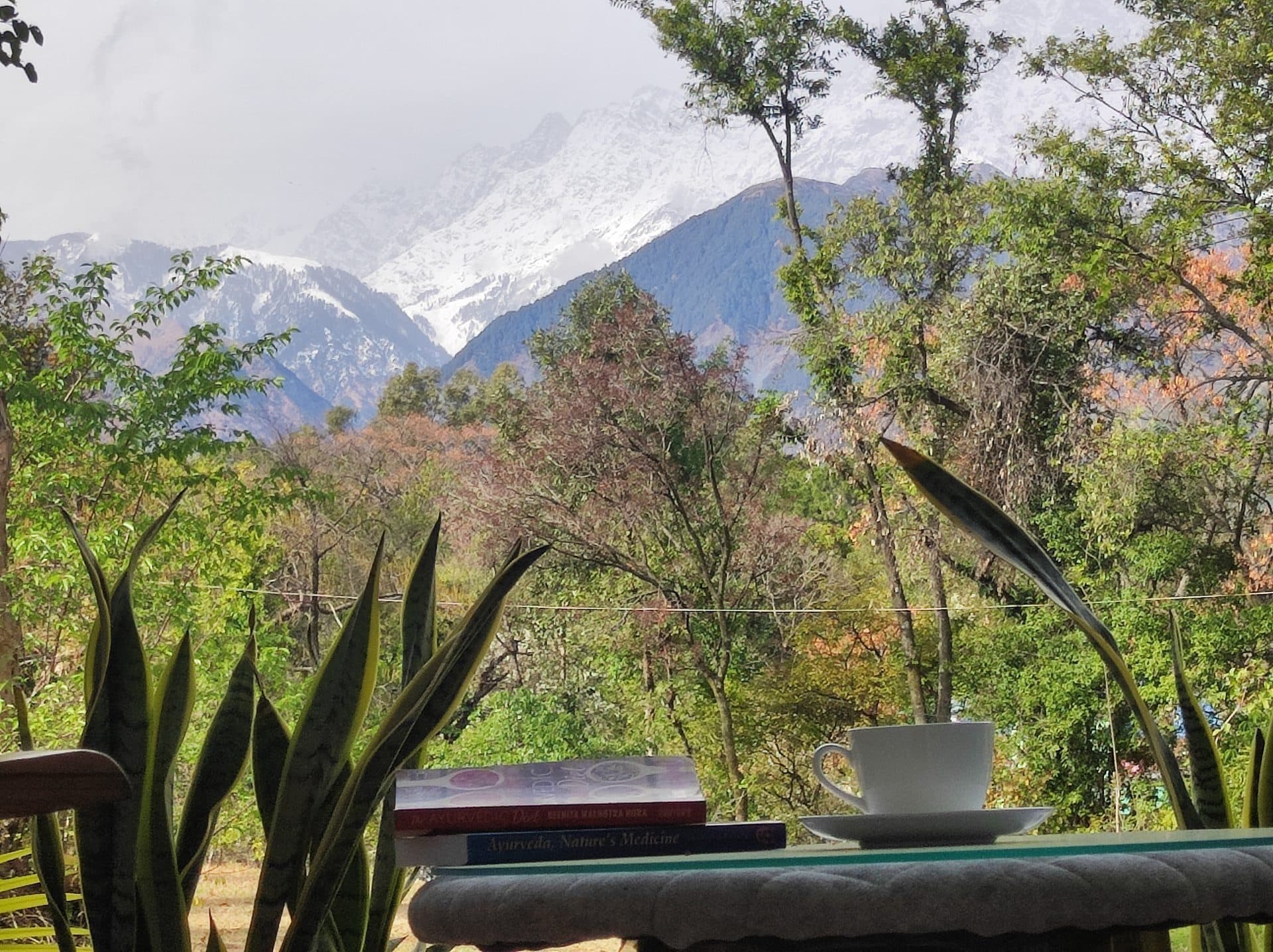 Dharamshala Himalayas view
